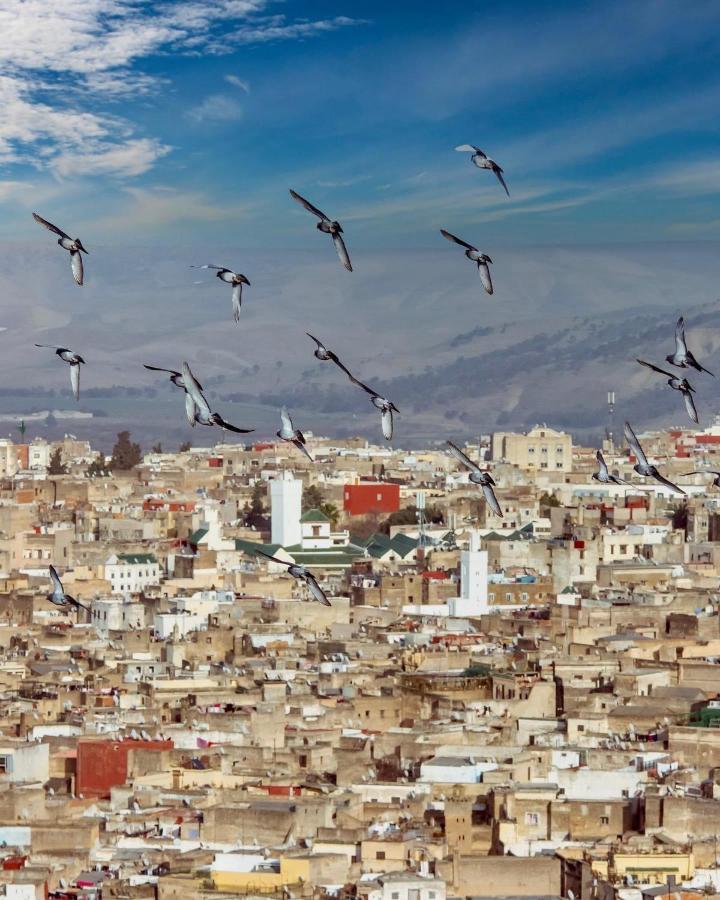 Riad Dar Tahri & Spa フェズ エクステリア 写真