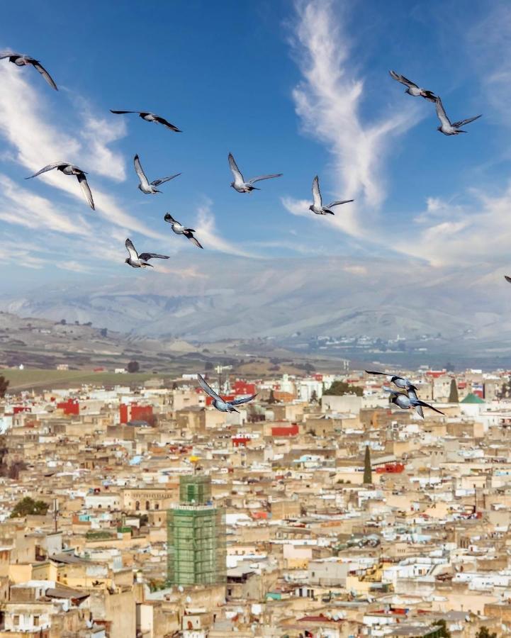 Riad Dar Tahri & Spa フェズ エクステリア 写真